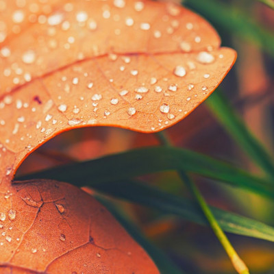 Διάβασε ΔΩΡΕΑΝ την προσωπική σου πρόβλεψη, για σήμερα 11/09/2023