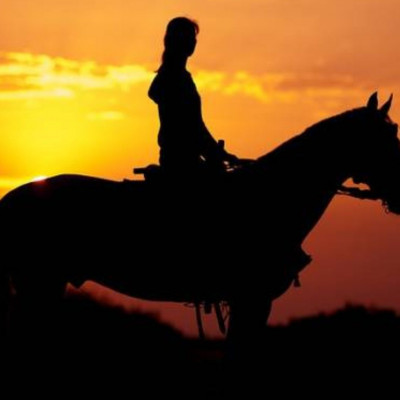 Ονειροκρίτης: Μήπως είδες στον ύπνο σου άλογο;