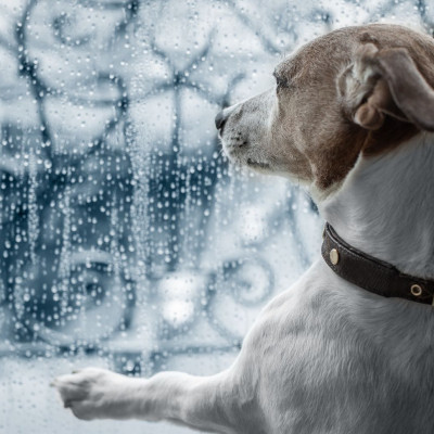 Αυτά τα ζώδια θα έχουν χάλια μέρα, σήμερα 10/09