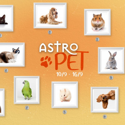 AstroPet 10/09-16/09: Εβδομαδιαίες προβλέψεις για το κατοικίδιό σου