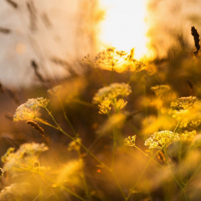 Διάβασε ΔΩΡΕΑΝ την προσωπική σου πρόβλεψη, για σήμερα 13/09/2023