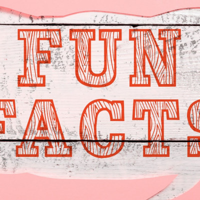 Διάβασε «μυστικά» για τα ζώδια που δεν ήξερες