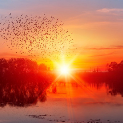 Διάβασε ΔΩΡΕΑΝ την προσωπική σου πρόβλεψη, για σήμερα 14/09/2023