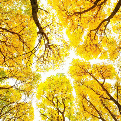 Διάβασε ΔΩΡΕΑΝ την προσωπική σου πρόβλεψη, για σήμερα 15/09/2023