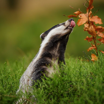 Διάβασε ΔΩΡΕΑΝ την προσωπική σου πρόβλεψη, για σήμερα 16/09/2023