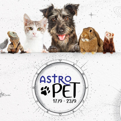 AstroPet 17/09-23/09: Εβδομαδιαίες προβλέψεις για το κατοικίδιό σου