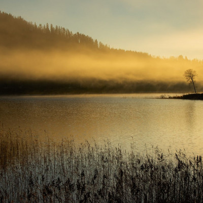 Διάβασε ΔΩΡΕΑΝ την προσωπική σου πρόβλεψη, για σήμερα 17/09/2023