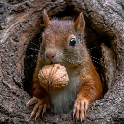 Διάβασε ΔΩΡΕΑΝ την προσωπική σου πρόβλεψη, για σήμερα 18/09/2023