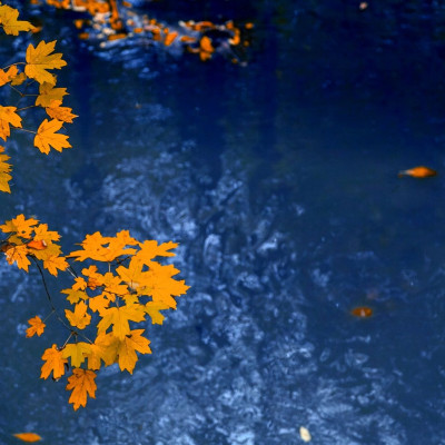 Διάβασε ΔΩΡΕΑΝ την προσωπική σου πρόβλεψη, για σήμερα 19/09/2023