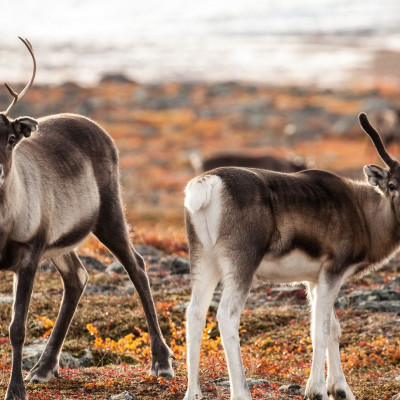 Διάβασε ΔΩΡΕΑΝ την προσωπική σου πρόβλεψη, για σήμερα 20/09/2023