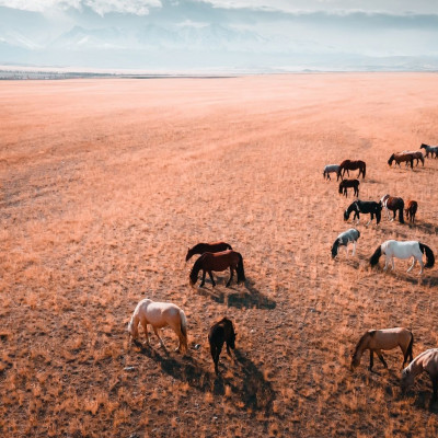 Διάβασε ΔΩΡΕΑΝ την προσωπική σου πρόβλεψη, για σήμερα 22/09/2023