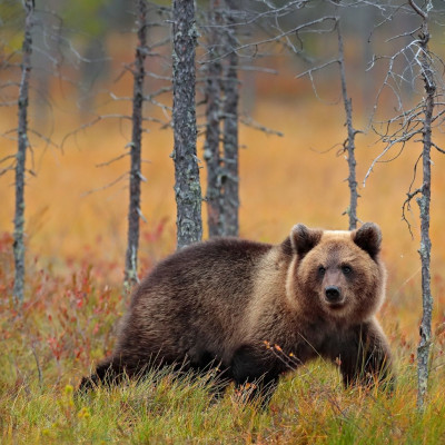 Διάβασε ΔΩΡΕΑΝ την προσωπική σου πρόβλεψη, για σήμερα 24/09/2023
