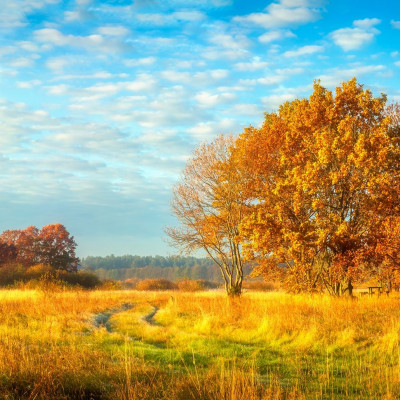 Διάβασε ΔΩΡΕΑΝ την προσωπική σου πρόβλεψη, για σήμερα 25/09/2023