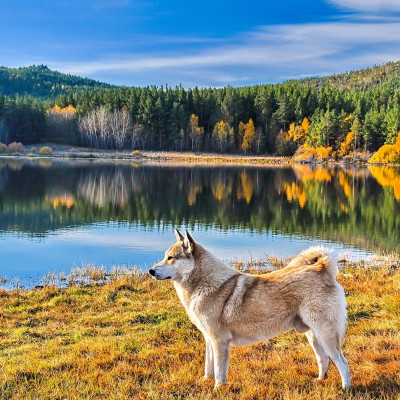 Διάβασε ΔΩΡΕΑΝ την προσωπική σου πρόβλεψη, για σήμερα 27/09/2023