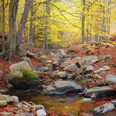 Διάβασε ΔΩΡΕΑΝ την προσωπική σου πρόβλεψη, για σήμερα 28/09/2023