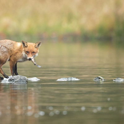 Διάβασε ΔΩΡΕΑΝ την προσωπική σου πρόβλεψη, για σήμερα 29/09/2023