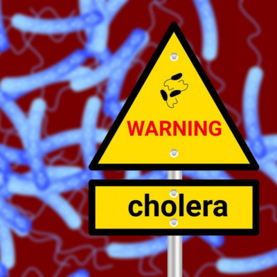 Κλιματική αλλαγή: Η συμβολή της στην εξάπλωση της χολέρας