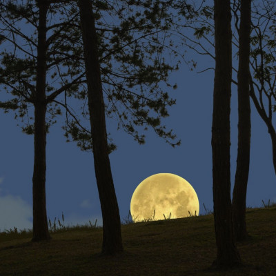 Δες τον δρόμο που σου δείχνει το Φεγγάρι από 01/10 έως 15/10