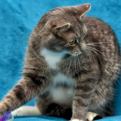 Τα ζώδια που θα έχουν έντονη συναισθηματική αστάθεια σήμερα, 02/10