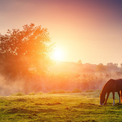 Διάβασε ΔΩΡΕΑΝ την προσωπική σου πρόβλεψη, για σήμερα 01/10/2023