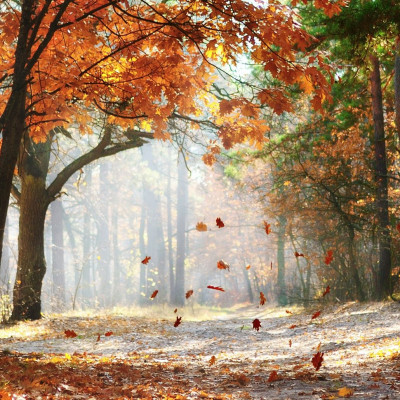 Διάβασε ΔΩΡΕΑΝ την προσωπική σου πρόβλεψη, για σήμερα 02/10/2023