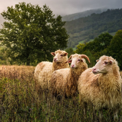 Διάβασε ΔΩΡΕΑΝ την προσωπική σου πρόβλεψη, για σήμερα 03/10/2023