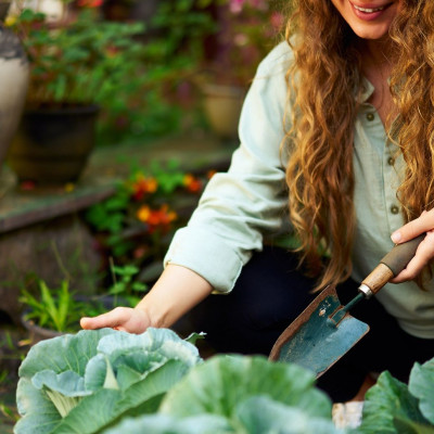 Κι όμως! Η θέση της Σελήνης παίζει σημαντικό ρόλο στην κηπουρική