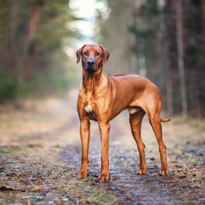 Διάβασε ΔΩΡΕΑΝ την προσωπική σου πρόβλεψη, για σήμερα 05/10/2023