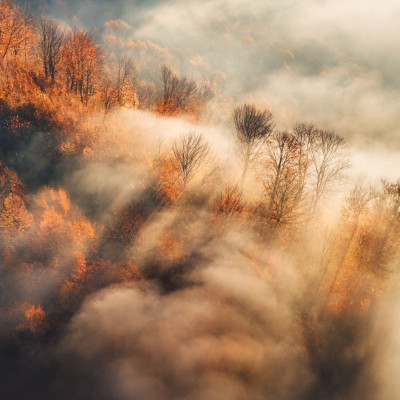 Διάβασε ΔΩΡΕΑΝ την προσωπική σου πρόβλεψη, για σήμερα 06/10/2023