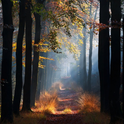 Διάβασε ΔΩΡΕΑΝ την προσωπική σου πρόβλεψη, για σήμερα 08/10/2023