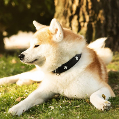 Τα ζώδια που θα είναι όσα πάνε κι όσα 'ρθουνε σήμερα, 11/10