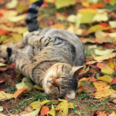 Διάβασε ΔΩΡΕΑΝ την προσωπική σου πρόβλεψη, για σήμερα 13/10/2023