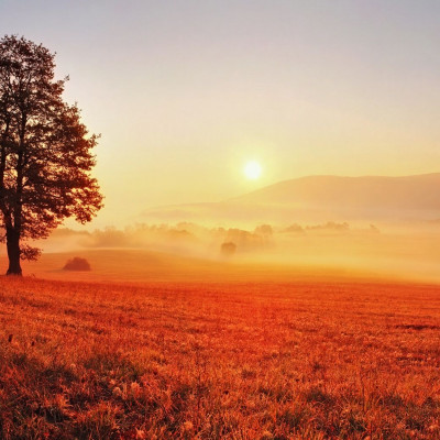 Διάβασε ΔΩΡΕΑΝ την προσωπική σου πρόβλεψη, για σήμερα 14/10/2023