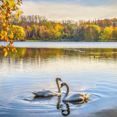 Διάβασε ΔΩΡΕΑΝ την προσωπική σου πρόβλεψη, για σήμερα 15/10/2023