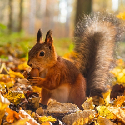 Διάβασε ΔΩΡΕΑΝ την προσωπική σου πρόβλεψη, για σήμερα 17/10/2023
