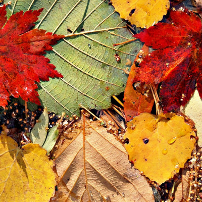 Διάβασε ΔΩΡΕΑΝ την προσωπική σου πρόβλεψη, για σήμερα 18/10/2023