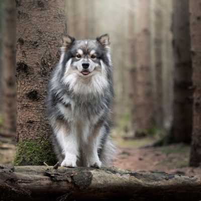 Διάβασε ΔΩΡΕΑΝ την προσωπική σου πρόβλεψη, για σήμερα 21/10/2023