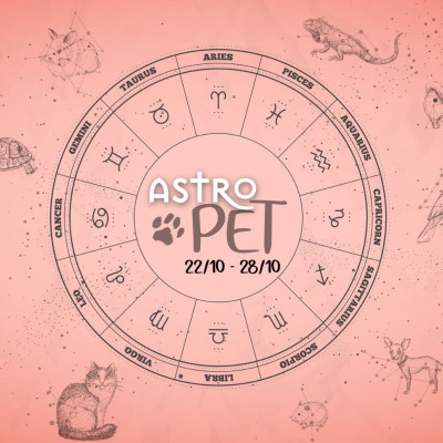 AstroPet 22/10-28/10: Εβδομαδιαίες προβλέψεις για το κατοικίδιό σου
