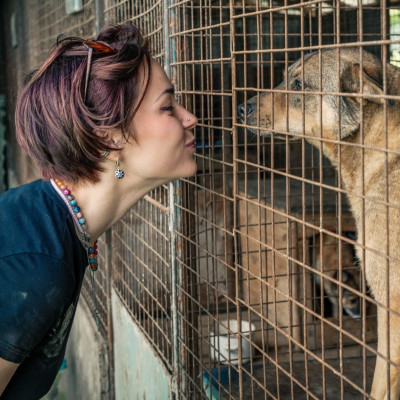 Τα ζώδια που με τον εθελοντισμό ξεπερνούν ένα χωρισμό