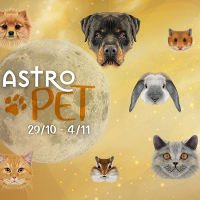 AstroPet 29/10-04/11: Εβδομαδιαίες προβλέψεις για το κατοικίδιό σου