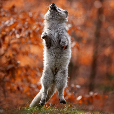 Διάβασε ΔΩΡΕΑΝ την προσωπική σου πρόβλεψη, για σήμερα 28/10/2023