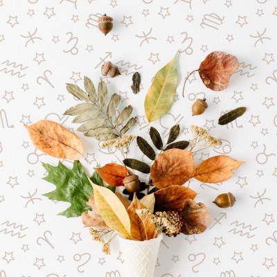 Εβδομαδιαίες προβλέψεις 29/10-04/11: Παν μέτρον άριστον