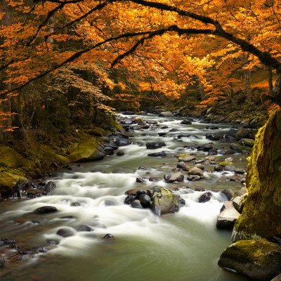 Διάβασε ΔΩΡΕΑΝ την προσωπική σου πρόβλεψη, για σήμερα 27/10/2023