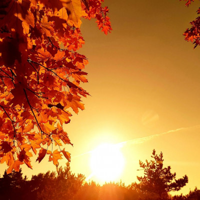 Διάβασε ΔΩΡΕΑΝ την προσωπική σου πρόβλεψη, για σήμερα 29/10/2023