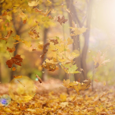 Σήμερα 01/11: Ξέχνα και κάτι...