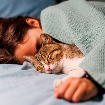 Σήμερα 02/11: Ανάγκη για προστασία και κατανόηση