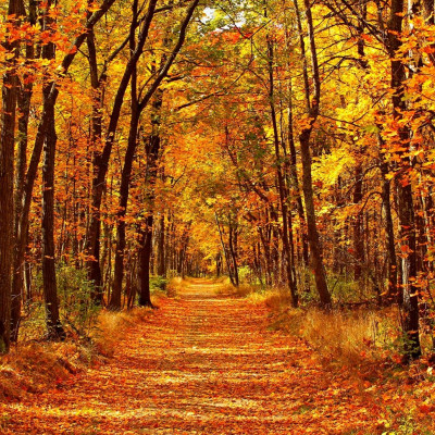 Διάβασε ΔΩΡΕΑΝ την προσωπική σου πρόβλεψη, για σήμερα 03/11/2023