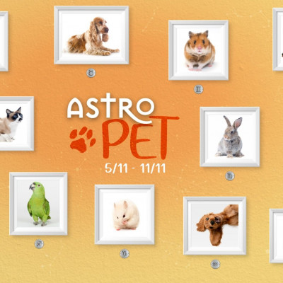 AstroPet 05/11-11/11: Εβδομαδιαίες προβλέψεις για το κατοικίδιό σου