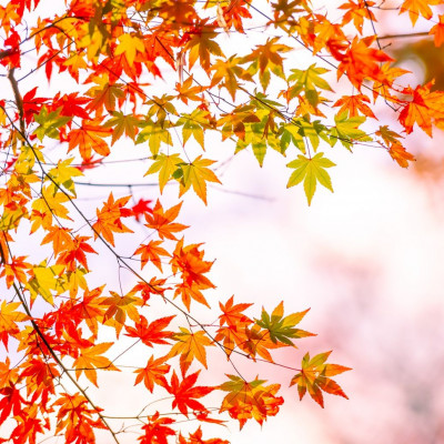 Διάβασε ΔΩΡΕΑΝ την προσωπική σου πρόβλεψη, για σήμερα 05/11/2023