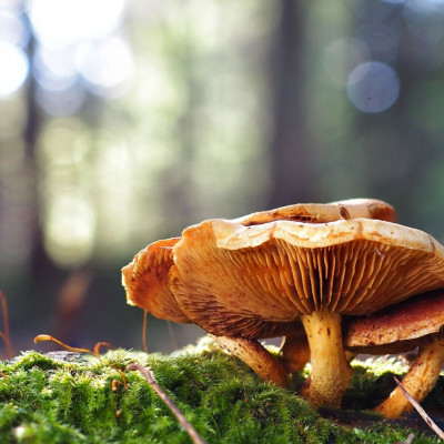 Διάβασε ΔΩΡΕΑΝ την προσωπική σου πρόβλεψη, για σήμερα 07/11/2023